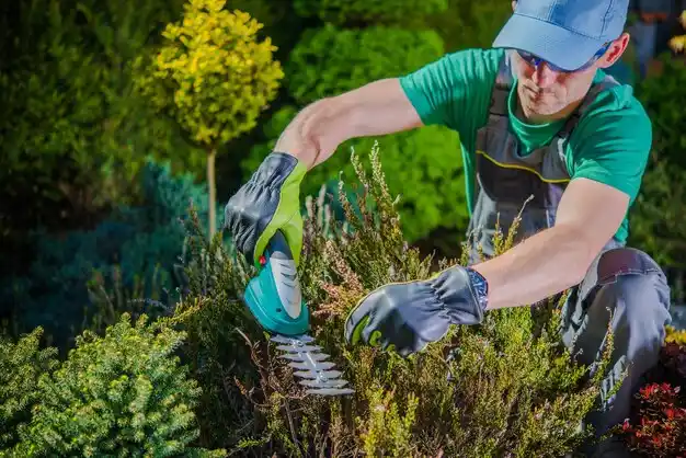 landscaping services Winside